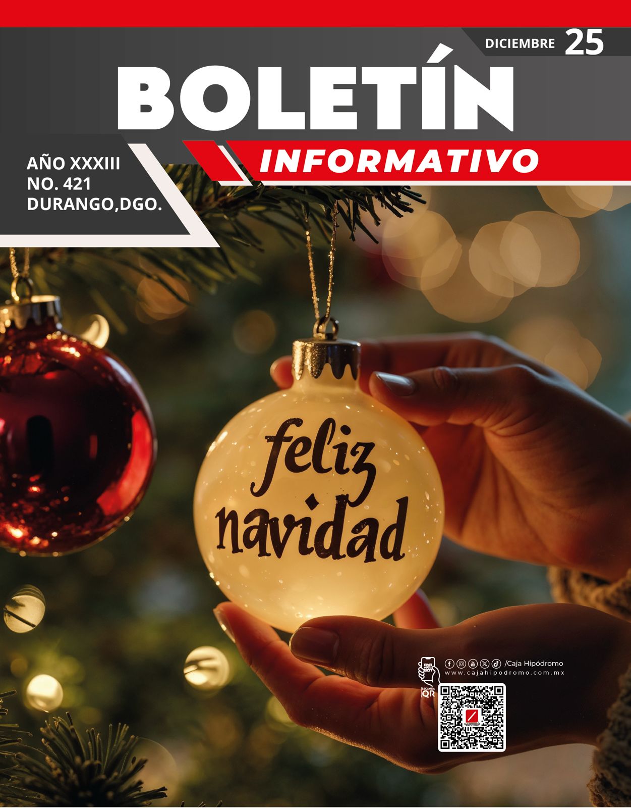 Boletín Diciembre